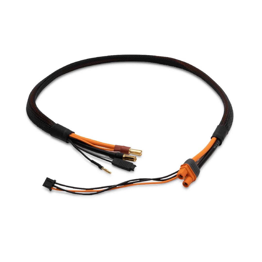 Spektrum Pro Series Race 2s Charge Cable: IC3/5mm 2' Spektrum Pro Series Race 2s Charge Cable: IC3/5mm 2'