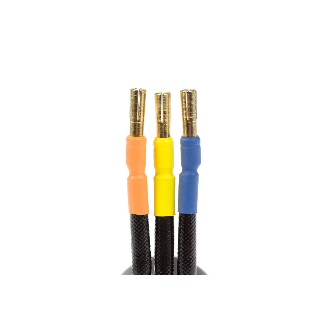 Spektrum Firma 3668 2400Kv 4-Pole Brushless Motor: 5mm