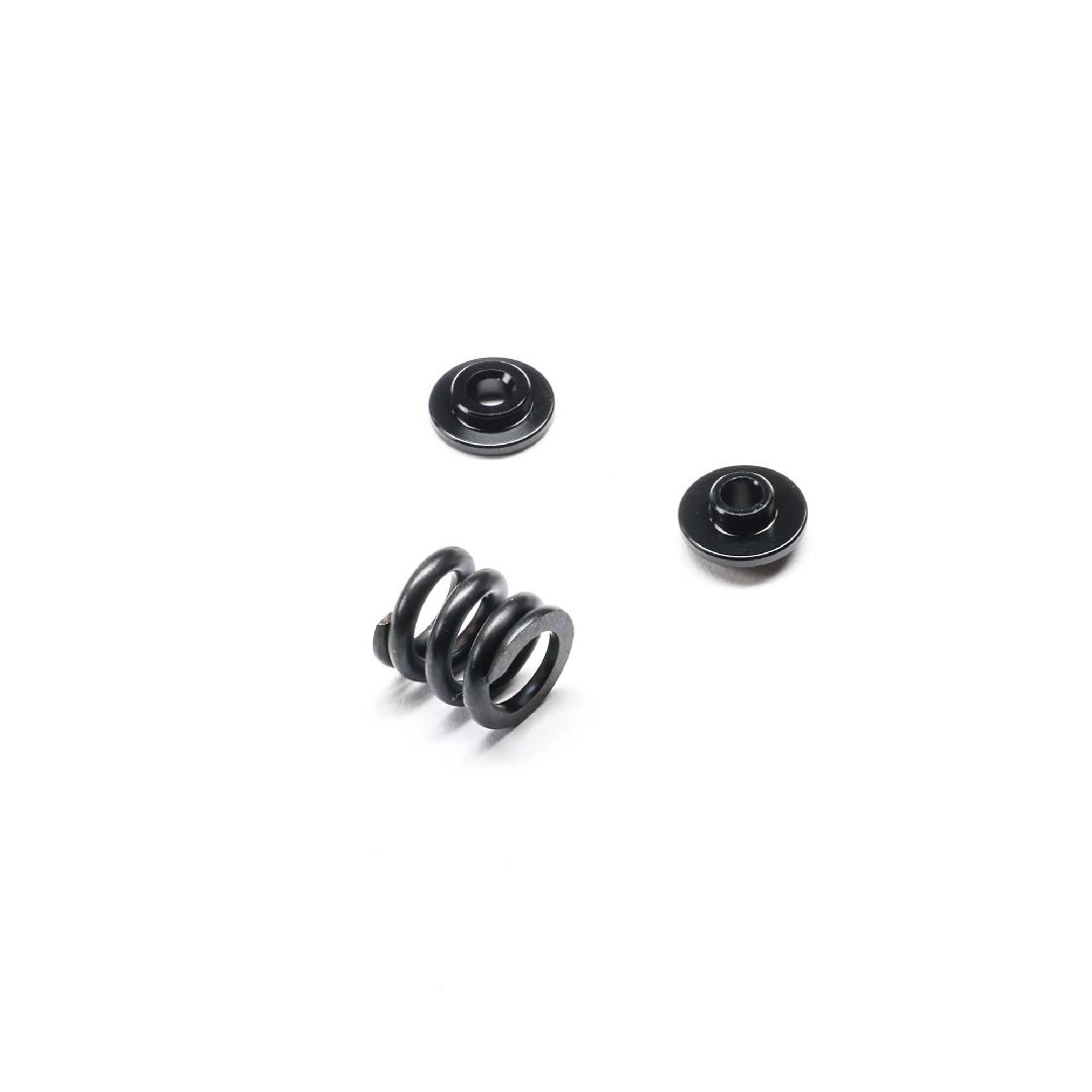 TLR Slipper Spring Set: 22X