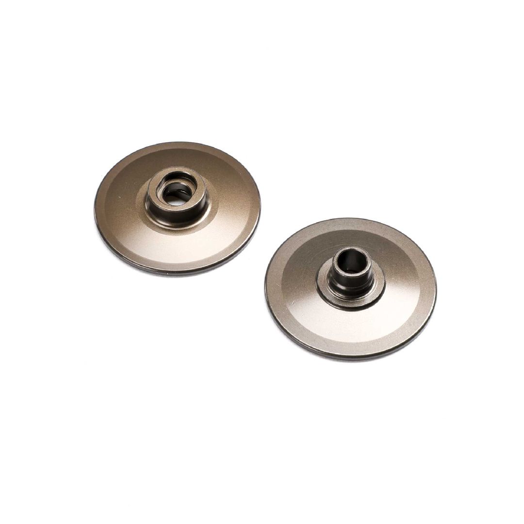 TLR Slipper Plates: 22X