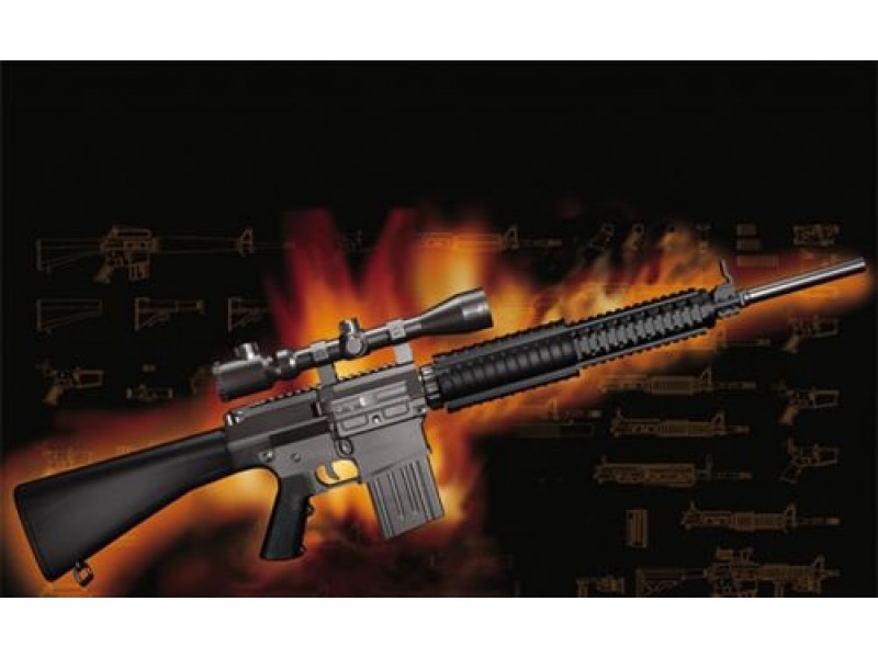 Trumpeter 1/3 AR15/M16/M4 FAMILY-SR25