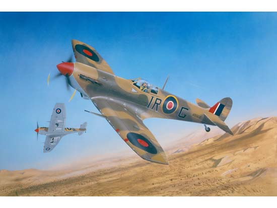 Trumpeter 1/24 Supermarine Spitfire MK.Vb/Trop - Click Image to Close