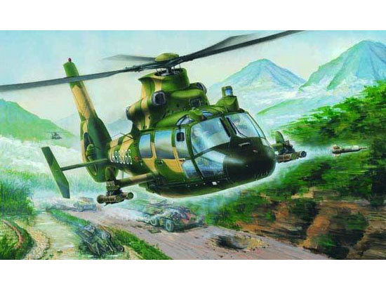 Trumpeter 1/48 Helicopter - Z-9G Armed Helicopter