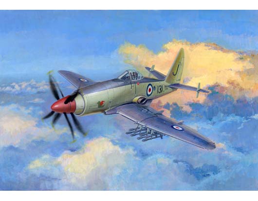 Trumpeter 1/48 "Wyvern" S.4 Early Version