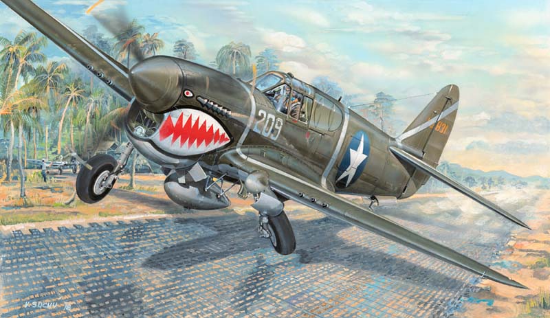 Trumpeter 1/35 P-40F War Hawk - Click Image to Close